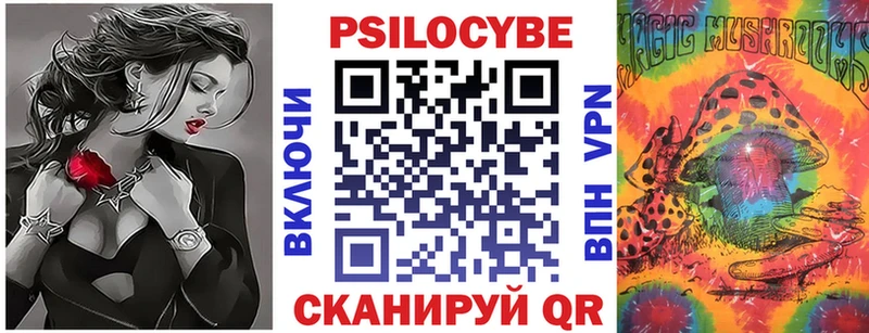 Галлюциногенные грибы Psilocybine cubensis  Купить где  Теберда 